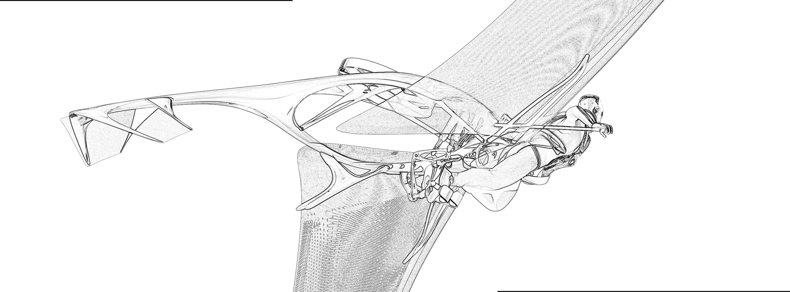 wing motion- design